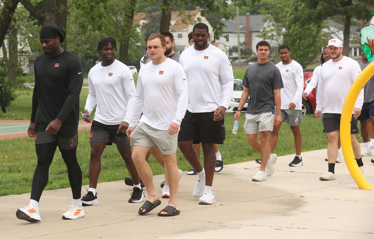 Bengals in Dayton